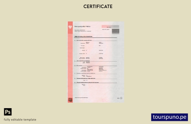 Plantilla de certificado de matrimonio de Polonia lista para imprimir en formato